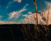 自动化运维的ddos攻击