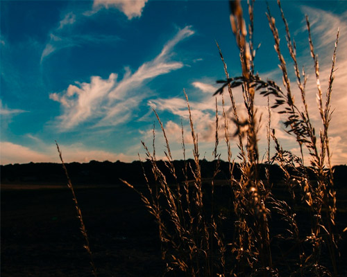 在线DDOS攻击平台